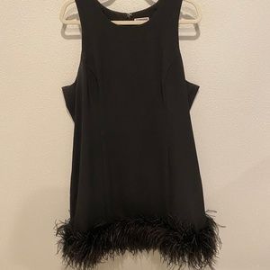 Black formal dress with feather across bottom hem.